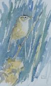 BUSBY, JOHN (1928-2015) British (AR), Sedge Warbler, watercolour, signed, unframed. 16.5 x 10 cm.
