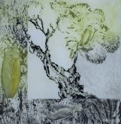 HARA or FLARA?, Cicada, a signed artist's proof etching, signed to the margin, unframed. 29.5 x 30.