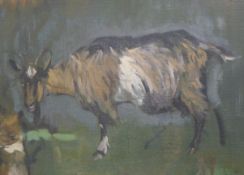 SEABY, ALLEN WILLIAM (1867-1953) British, Goat, oil on canvas, unframed. 26 x 42 cm.