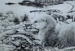 GREENWOOD, T J (born 1947) British (AR), Otters on Islay, a limited edition drypoint,