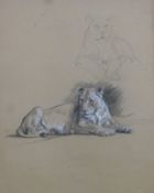 SHEPPARD, RAYMOND (1913-1958) British (AR), Lioness, conte pencil, unframed. 28 x 27 cm.