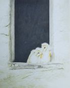 REED, BRIAN, (born 1934) British (AR), Barn Owl Chicks, watercolour, signed and dated 1986,