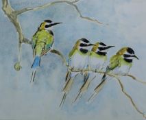 KELLY, CHLOE TALBOT (1927-2023) British (AR), Beaeater, watercolour, signed, unframed. 15 x 18.