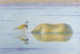 DILLON, NICHOLAS (born 1966) New Zealand (AR), Turnstone, acrylic on canvas, signed and dated '91,