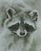 GREENWOOD, T J (born 1947) British (AR), Racoon, a signed limited edition drypoint,