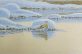 DILLON, NICHOLAS (born 1966) New Zealand (AR), Snipe in Snow, acrylic on canvas,