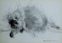 THOMPSON, RALPH (1913-2009) British (AR), North American Porcupine, ink and watercolour, signed,