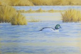 DILLON, NICHOLAS (born 1966) New Zealand (AR), Goldeneye, acrylic on canvas, signed and dated '91,