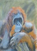 LISHMAN, JAMES (1931-2024) British (AR), Orangutan and Baby, watercolour, signed, framed and glazed.