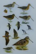 HAYMAN, PETER (born 1930) British (AR), Snipe and Woodcock Studies 'Waders 35', watercolour, signed,