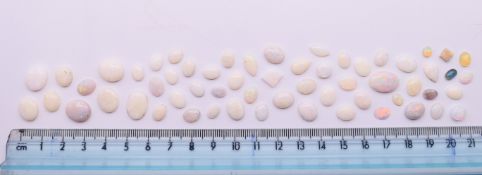 A collection of loose opals. Various sizes.