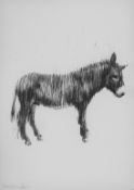 BAKER, CHARMING (born 1964) British (AR), Donkey,