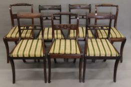 Seven various 19th century mahogany sabre leg chairs. Each approximately 46 cm wide.