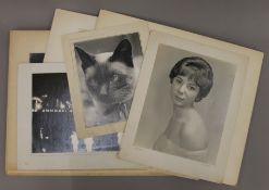 A quantity of various photographs, prints etc. The largest approximately 40 x 50 cm overall.