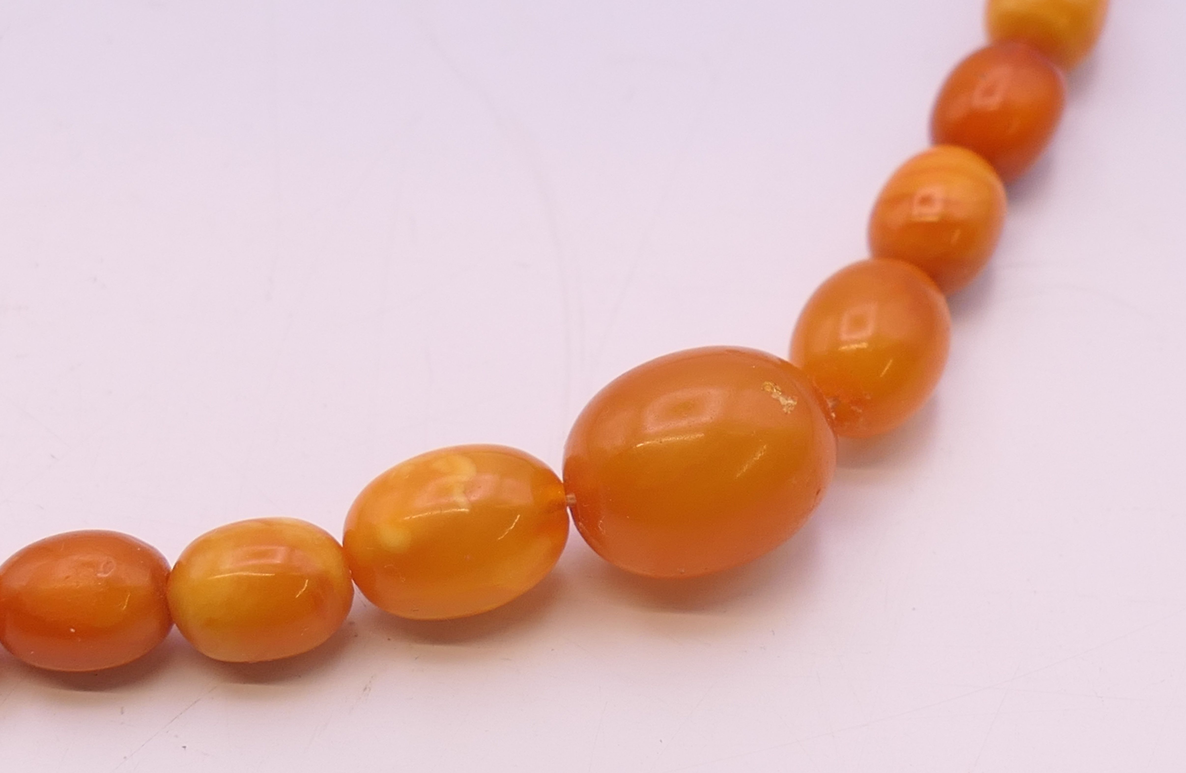 A string of butterscotch amber graduated beads. 64 cm long. 23.3 grammes total weight. - Image 2 of 10