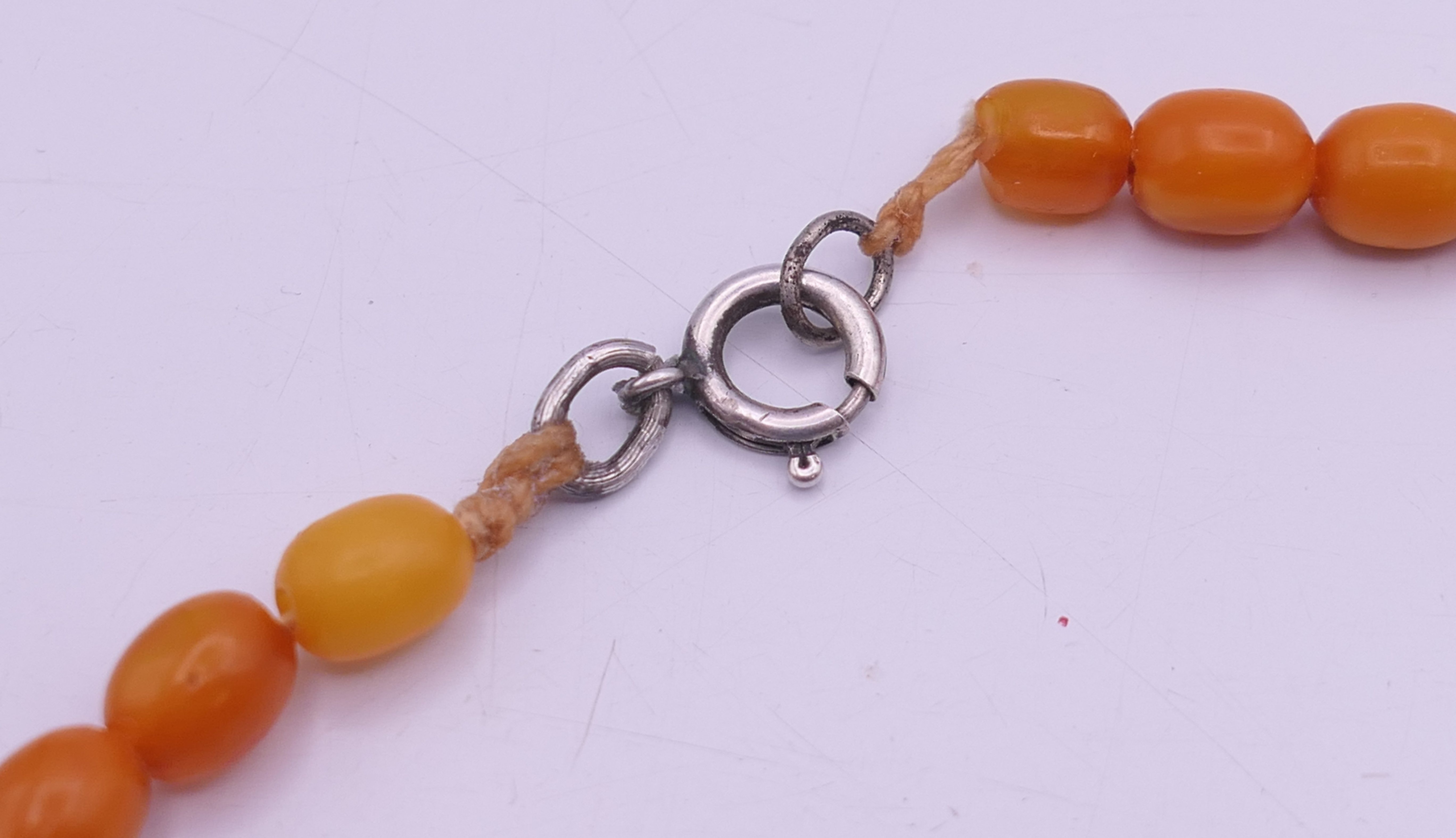 A string of butterscotch amber graduated beads. 64 cm long. 23.3 grammes total weight. - Image 3 of 10