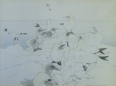BUSBY RSA RSW SWLA, JOHN (1928-2015) British (AR), Gannet Studies Bass Rock, pencil and watercolour,