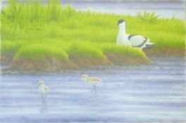 DILLON, NICHOLAS (born 1966) New Zealand (AR), Curlew and Chicks, acrylic on canvas,