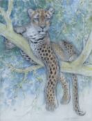 THOMPSON, RALPH (1913-2009) British (AR), Cheetah, watercolour, signed, unframed. 63 x 48 cm.