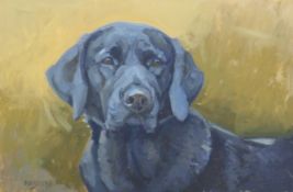 HASLEN, ANDREW (born 1951) British (AR), Labrador, acrylic, signed, unframed. 33 x 51 cm.