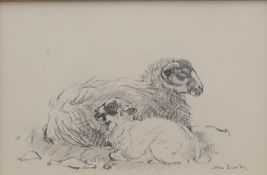 BUSBY RSA RSW SWLA, JOHN (1928-2015) British (AR), Ewe and Lamb, pencil, signed, framed and glazed.