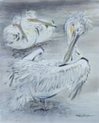 THOMPSON, RALPH (1913-2009) British (AR), Pelicans, watercolour, signed, unframed. 42 x 34 cm.