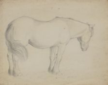 Three pencil on card drawings of a cow and one of a horse, signed R. O. and dated 43. The latter 26.