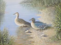'Pair of Ducks on the Water', oil on canvas, indistinctly signed, framed together with GLENDA BIRCH,