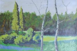 21st CENTURY, 'A Forest Glade', oil on b