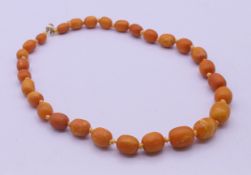A butterscotch amber graduated bead necklace. 42 cm long.