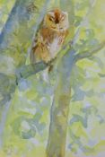 PAIGE, JOHN (1927-2021) British (AR), Tawny Owl, watercolour, monogrammed and dated 1988, unframed.