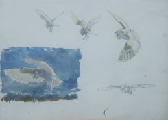BUSBY RSA RSW SWLA, JOHN (1928-2015) British (AR), Barn Owl Studies, watercolour and pencil,