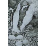GREENWOOD, T J (born 1947) British (AR), Badger and Eggs, etching, signed and numbered 82/100,
