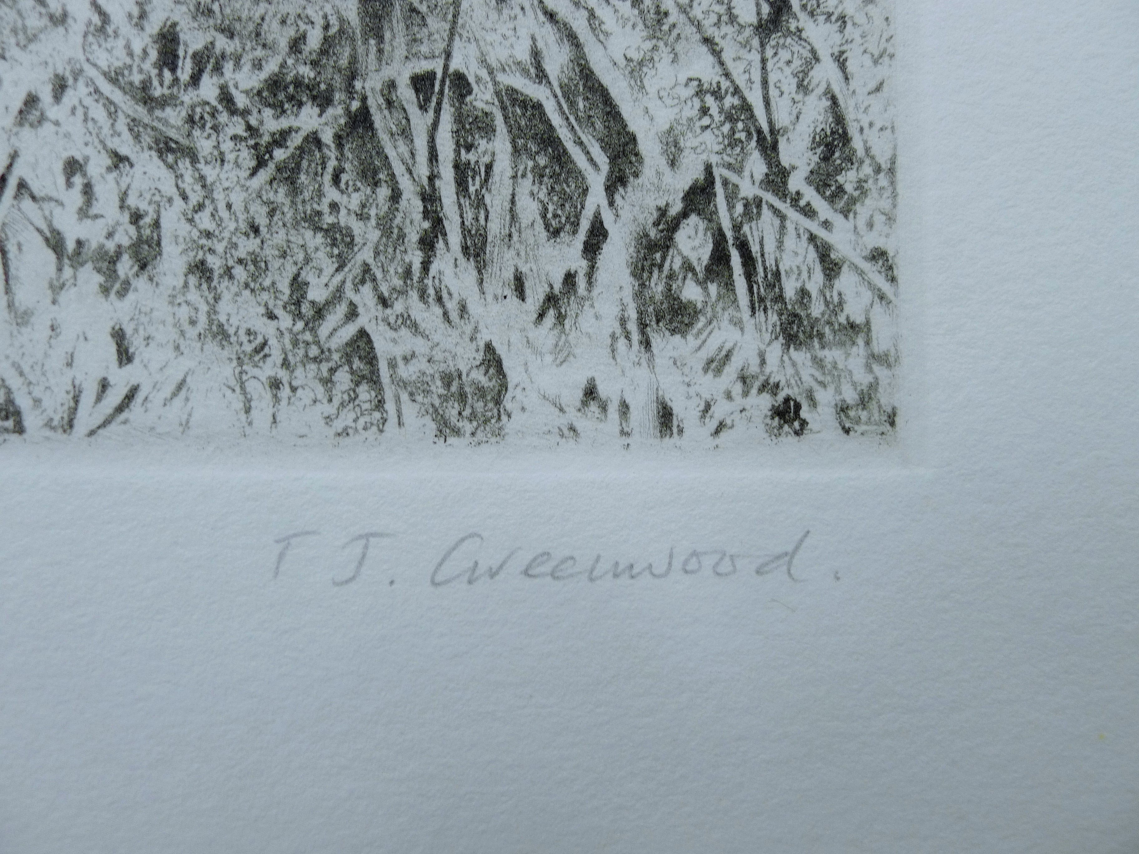 GREENWOOD, T J (born 1947) British (AR), Red Grouse in Spring, etching, signed and numbered 36/150, - Image 3 of 4