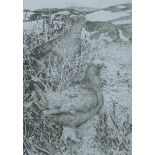 GREENWOOD, T J (born 1947) British (AR), Red Grouse in Spring, etching, signed and numbered 36/150,