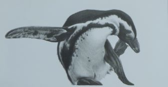 HODGES, GARY (born 1954) British (AR), Penguin High Kickin', lithograph,