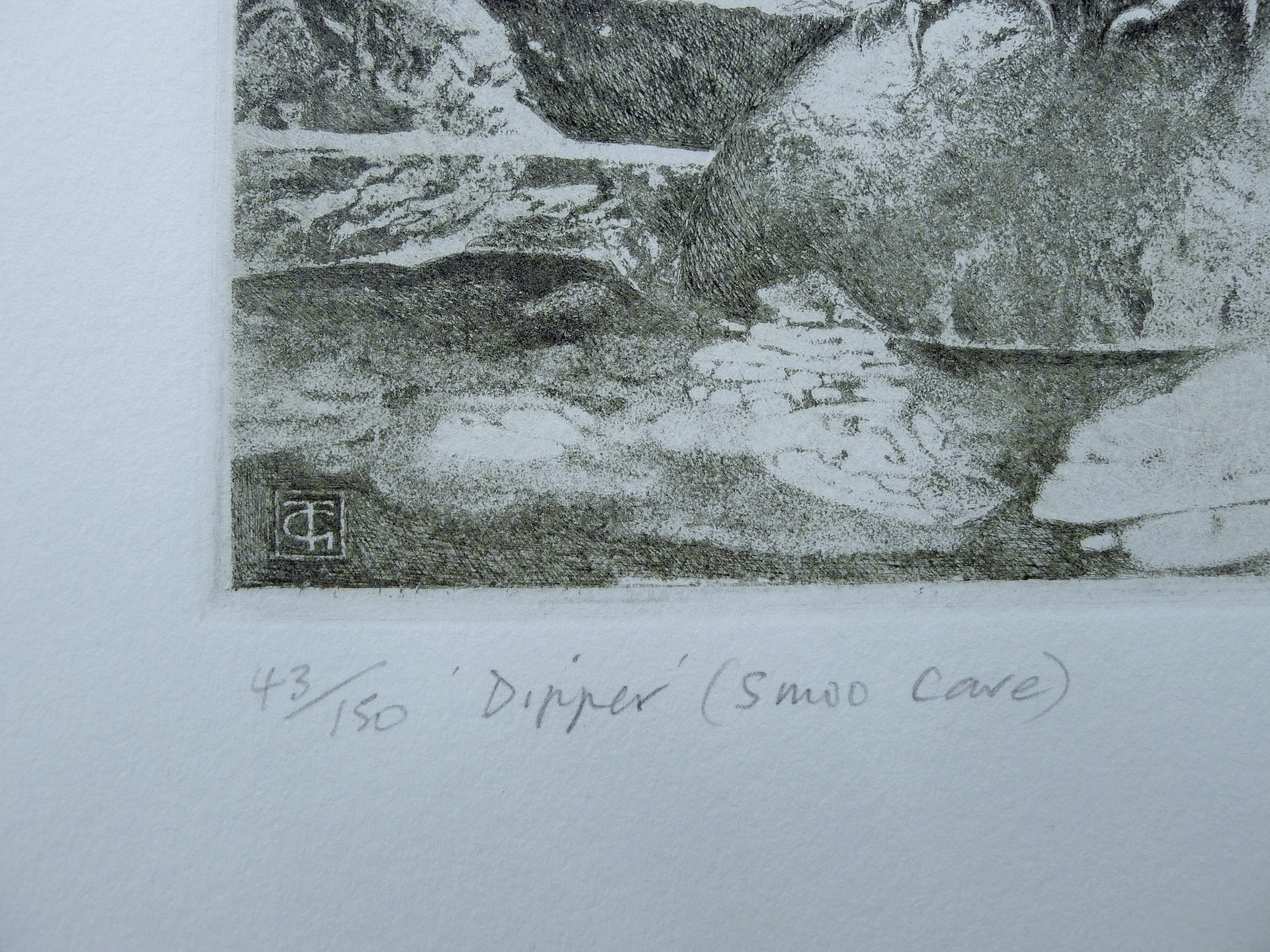 GREENWOOD, T J (born 1947) British (AR), Dipper, etching, signed and numbered 43/150, unframed. - Image 4 of 4