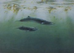 PEARSON, BRUCE (born 1950) British (AR), Minke Whale, print, signed and numbered 65/500, unframed.