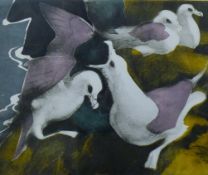 ATKINSON, KIM (born 1962) British (AR), Gulls, coloured etching, signed and dated '94,