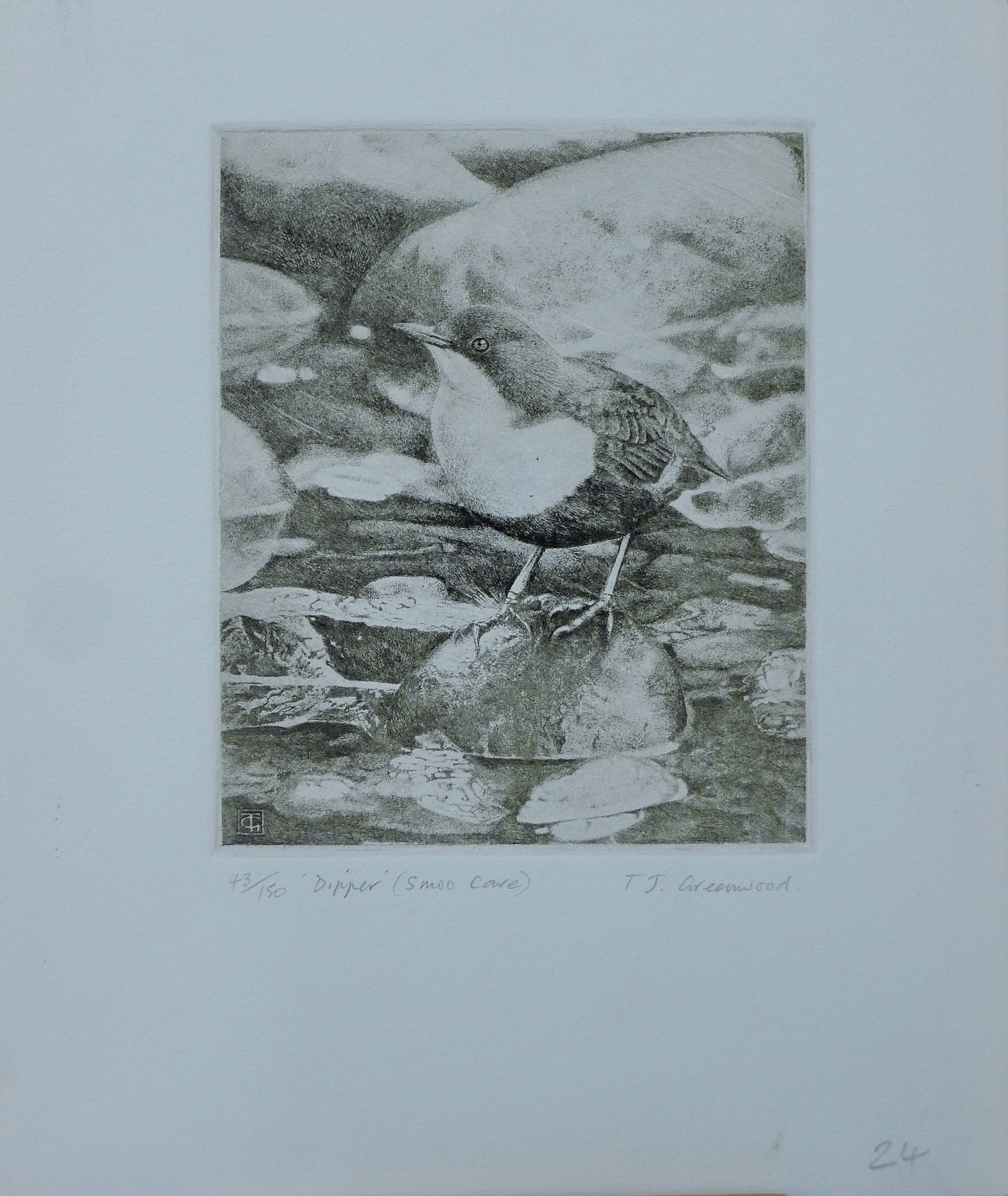 GREENWOOD, T J (born 1947) British (AR), Dipper, etching, signed and numbered 43/150, unframed. - Image 2 of 4