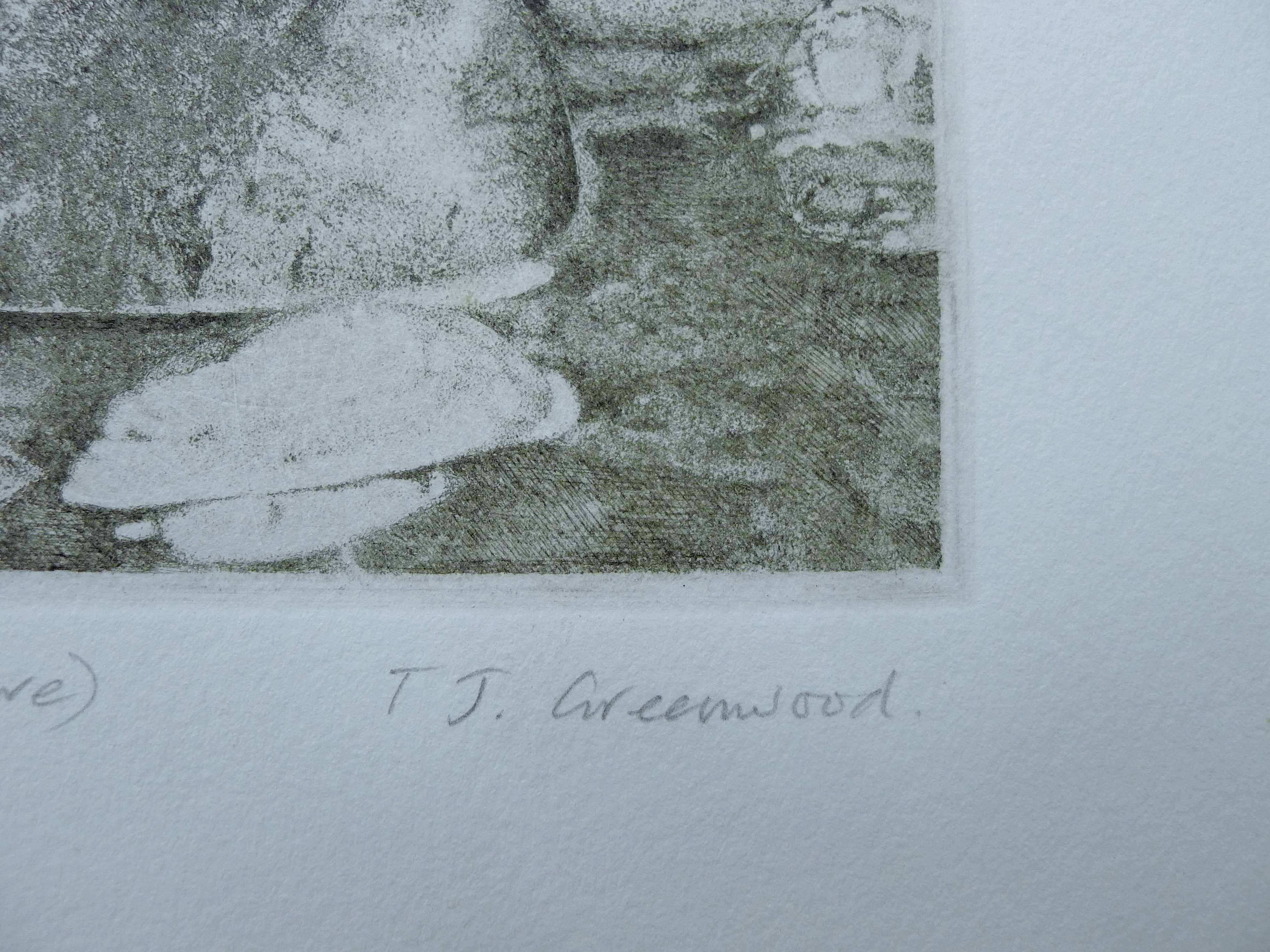 GREENWOOD, T J (born 1947) British (AR), Dipper, etching, signed and numbered 43/150, unframed. - Image 3 of 4