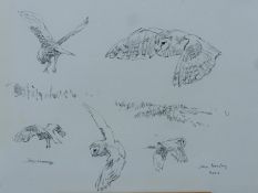 BUSBY RSA RSW SWLA, JOHN (1928-2015) British (AR), Barn Owl Studies, pencil, signed and dated 2001,