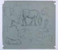 AUSTEN, WINIFRED (1876-1964) British (AR), Horse Studies, pencil, signed, unframed. 27 x 29 cm.