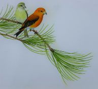 ARLOTT, NORMAN (1947-2022) British (AR), Crossbills, watercolour, unframed. 27 x 33 cm.