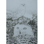 GREENWOOD, T J (born 1947) British (AR), Snowy Owls, etching, signed and numbered 68/150, unframed.