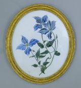 A pair of 19th century Floral watercolours, each framed and glazed. Each 36 cm high overall.
