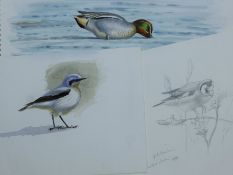 DILLON, NICOLAS (born 1966) New Zealand (AR), Goldfinches, Wheatear and Teal,