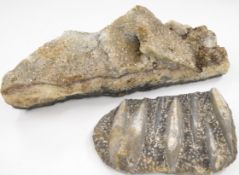 A mineral geode of clear crystals, W43 x D18 x H15cm and a orthoceras / squid fossil