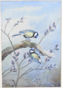 Philip Rickman (1891-1982) watercolour study pair of great tit birds, signed and dated 1962 lower