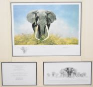 David Shepherd (1931-2017) signed artist's proof limited edition (IV/IV) print 'Ahmed', study of